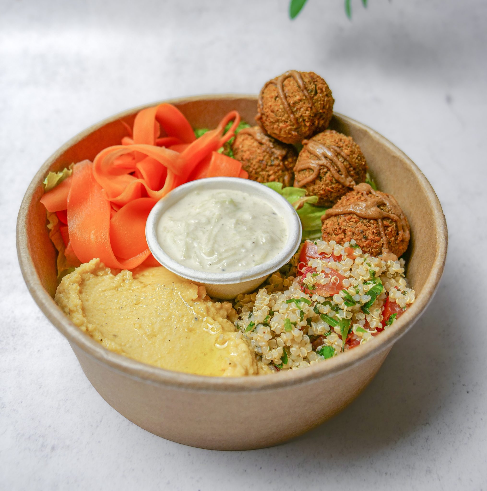 3. Falafel Bowl CROP2 scaled Specials- novi