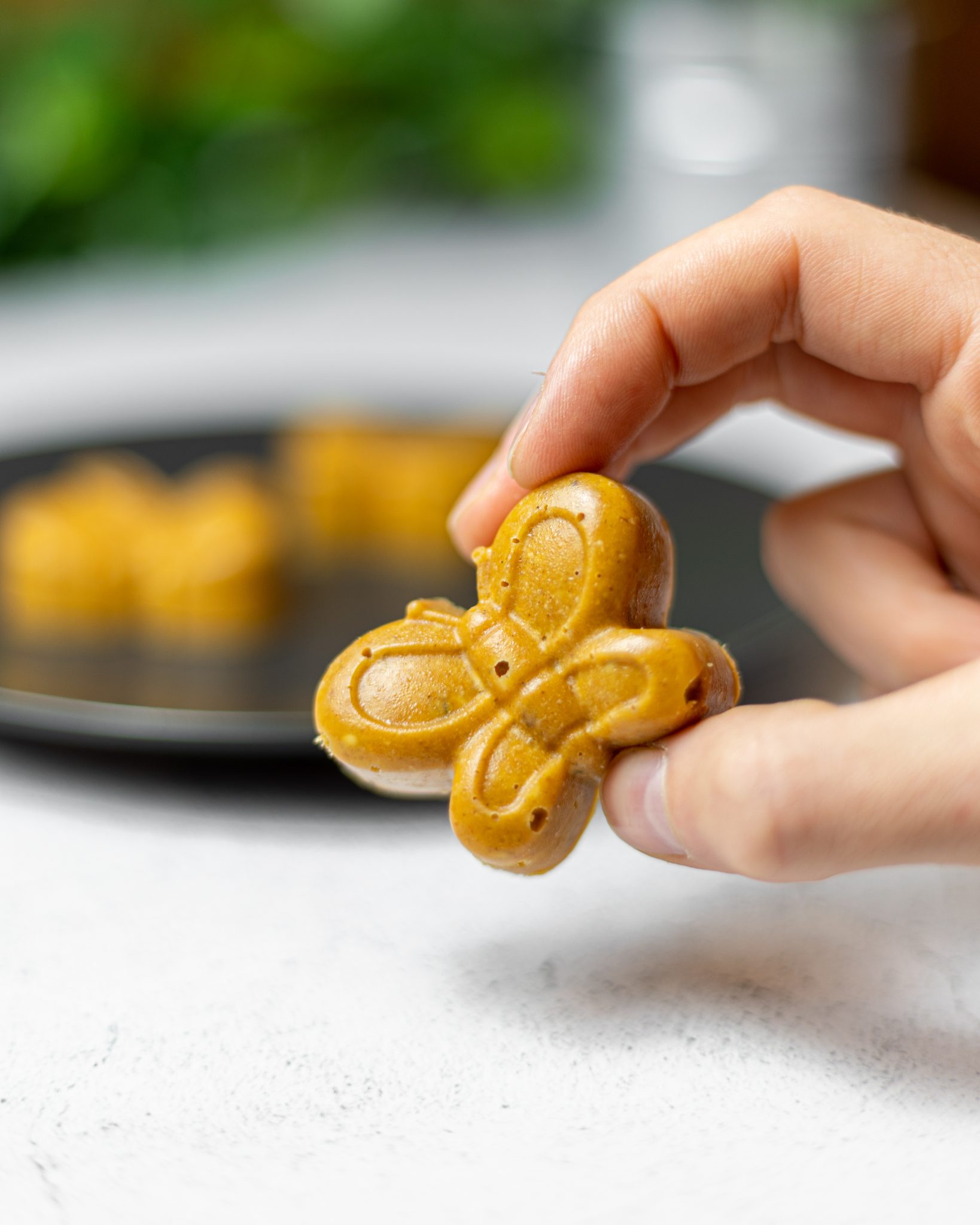 Ladoo scaled Deserti- novi