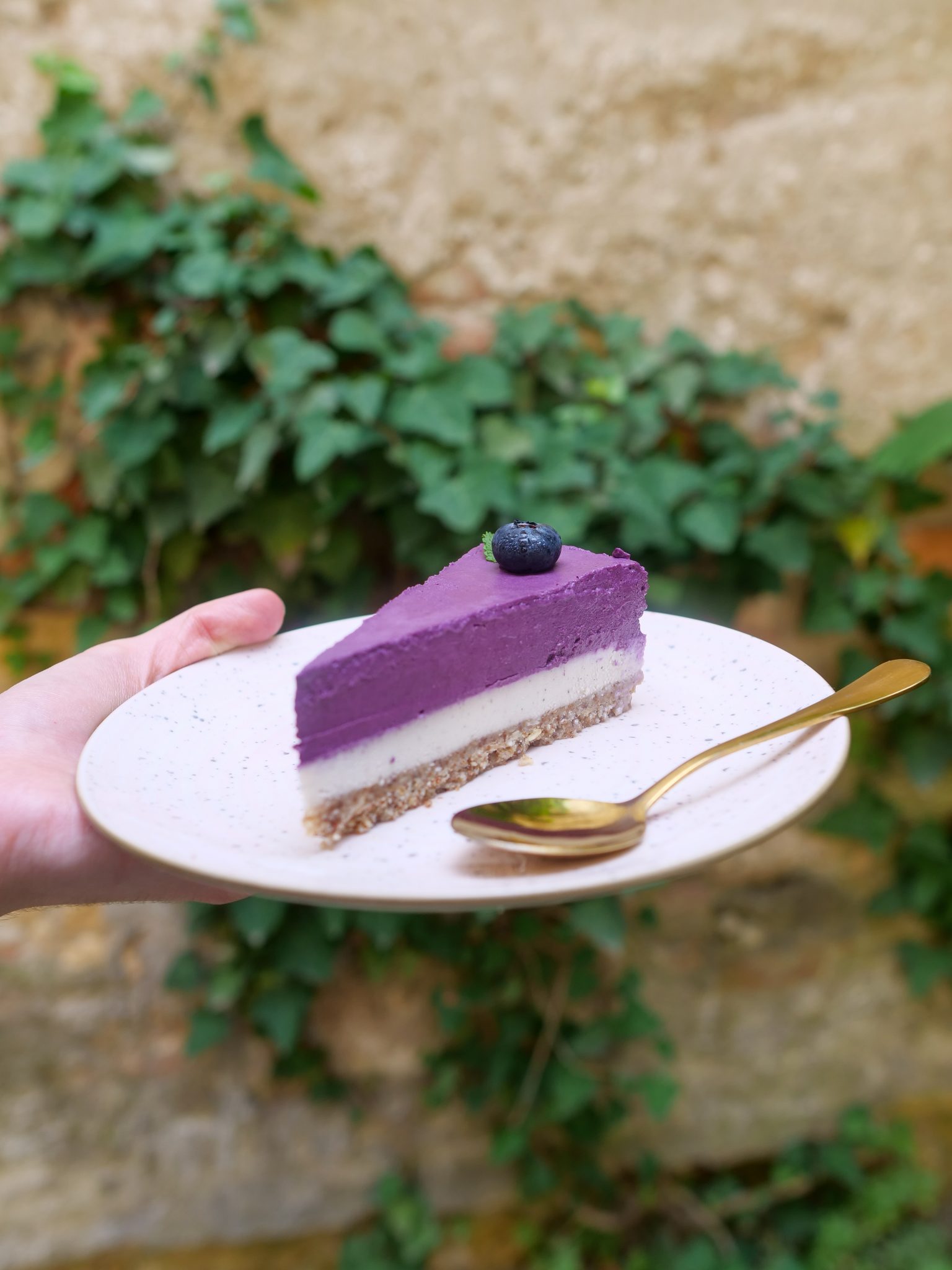 Raw blueberrys fantasy 2 scaled Deserti- novi