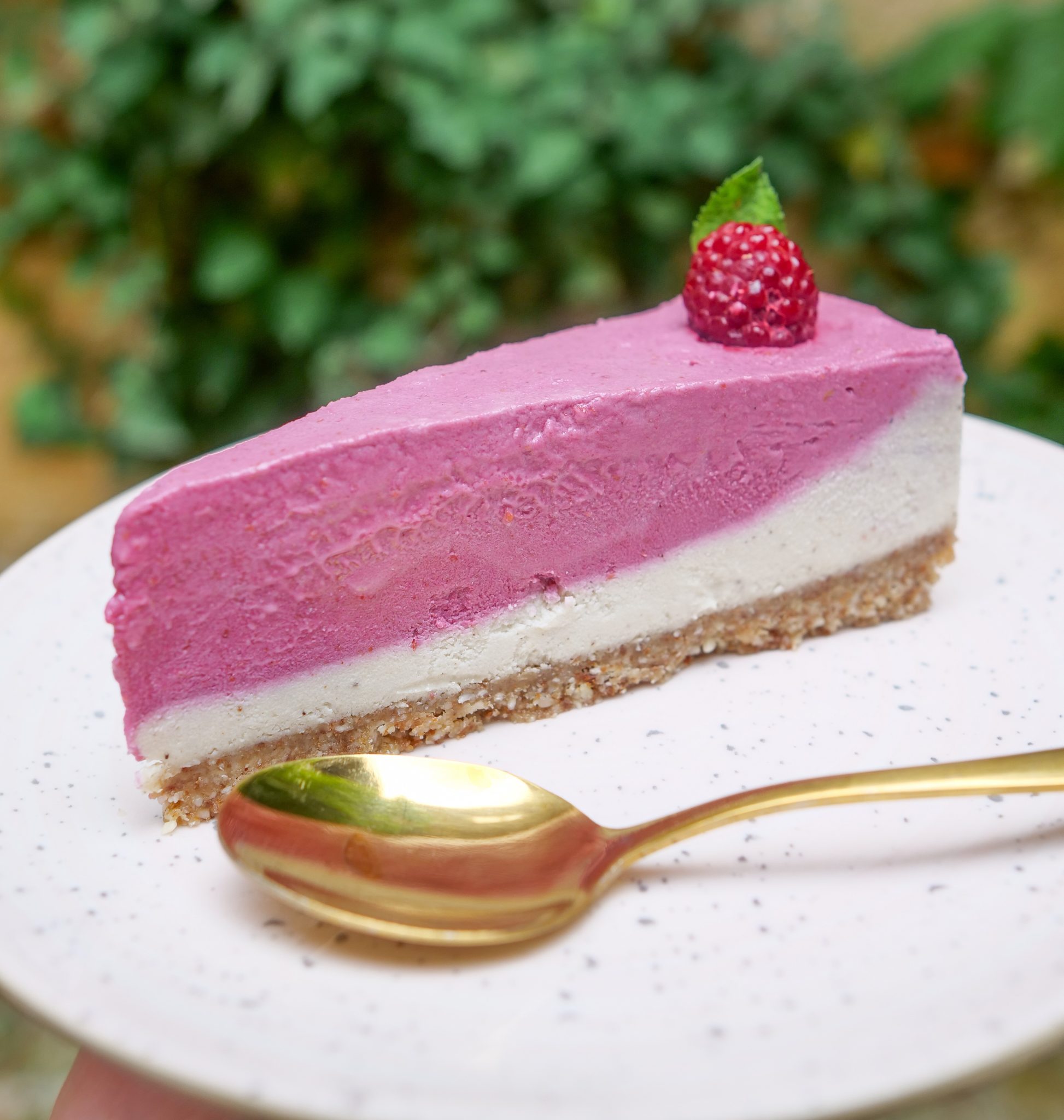 Raw raspberry fantasy 2 crop scaled Deserti- novi